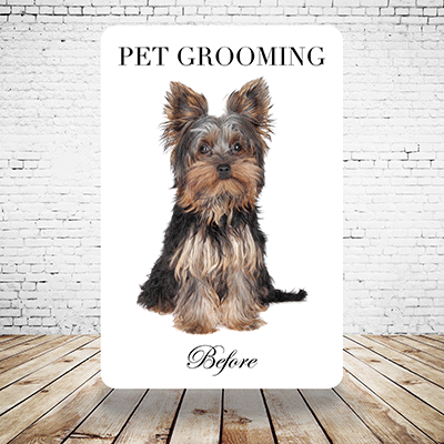 e25f975e-dd02-4ad4-9cf6-678ccb5dee92