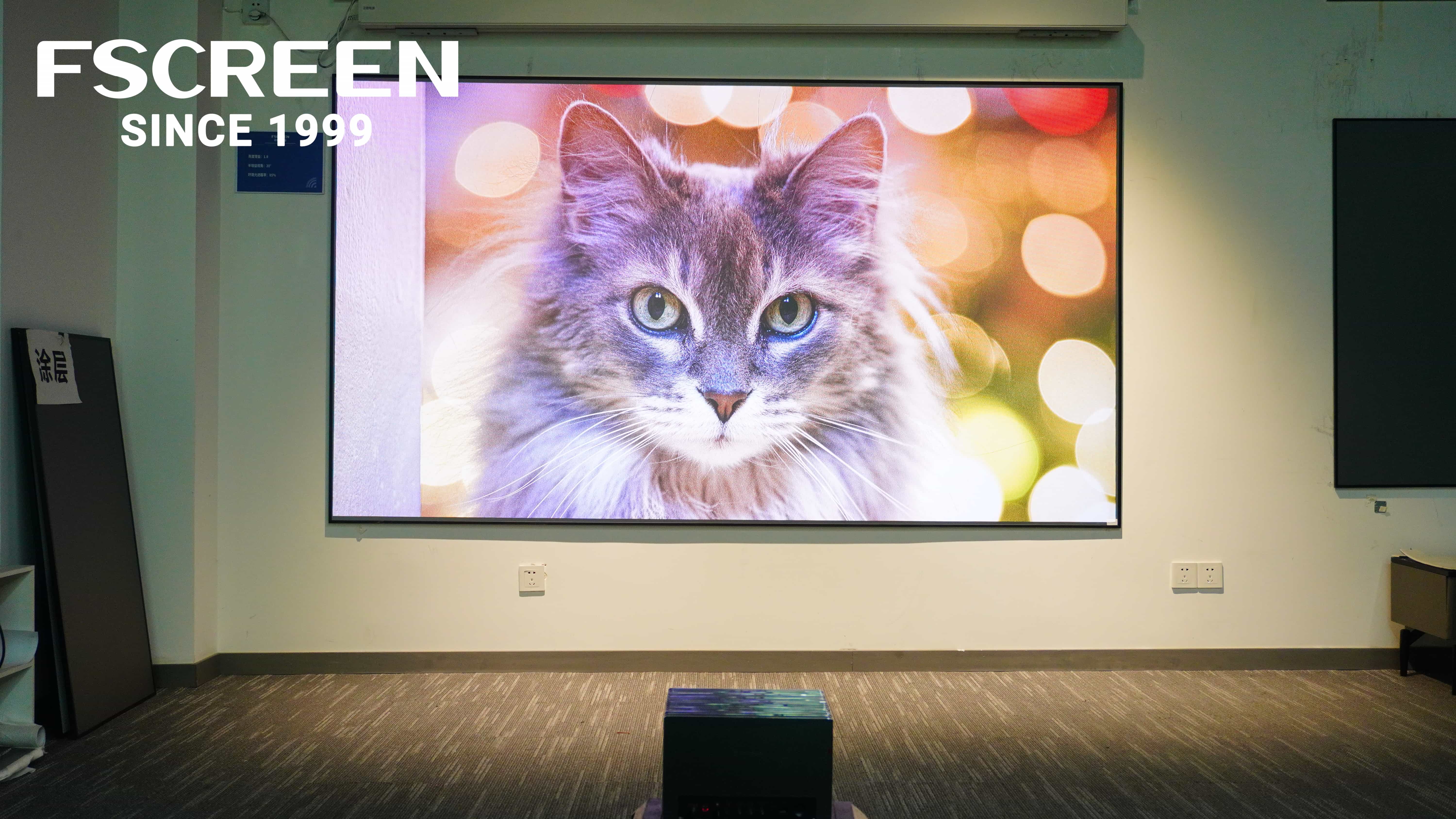 Review of Fscreen Fresnel Fixed Frame Projection Screen and Valerion VisionMaster Pro 2